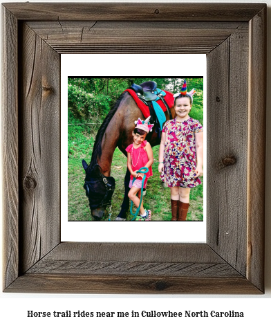 horse trail rides near me in Cullowhee, North Carolina